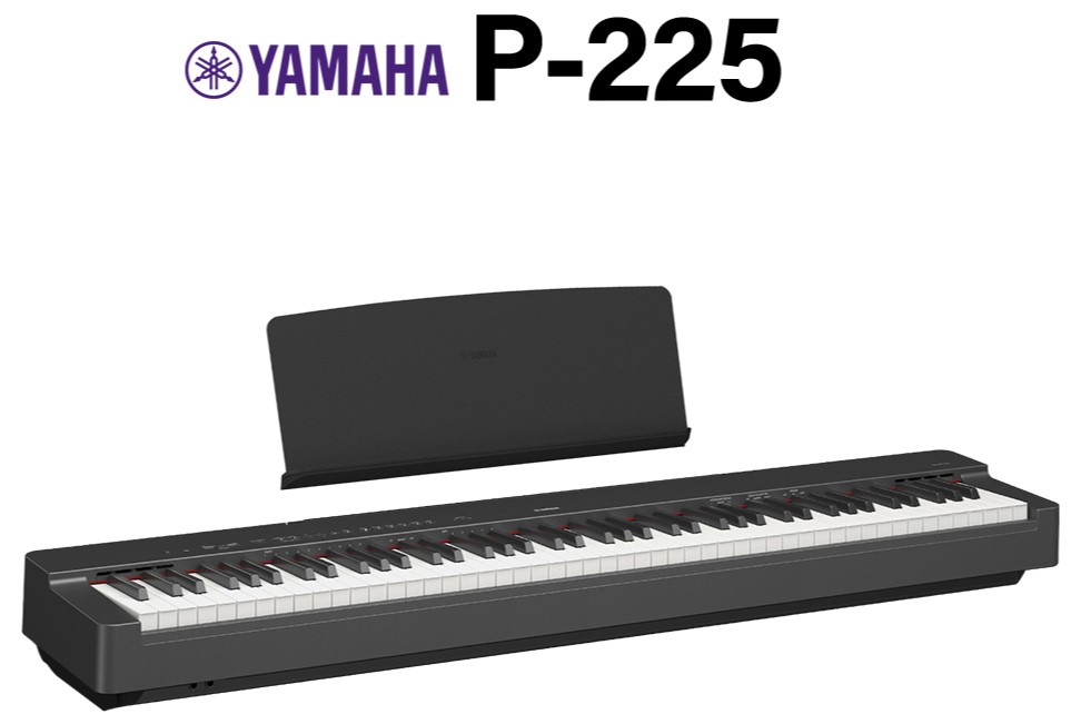 P-225/BK　（カラー：BK/WH）