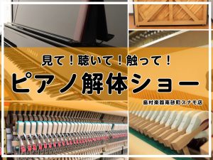 見て！聴いて！触って！「ピアノ解体ショー」