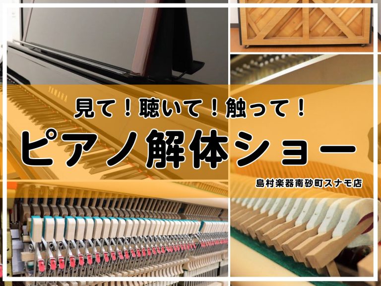 見て！聴いて！触って！「ピアノ解体ショー」