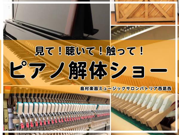 見て！聴いて！触って！「ピアノ解体ショー」
