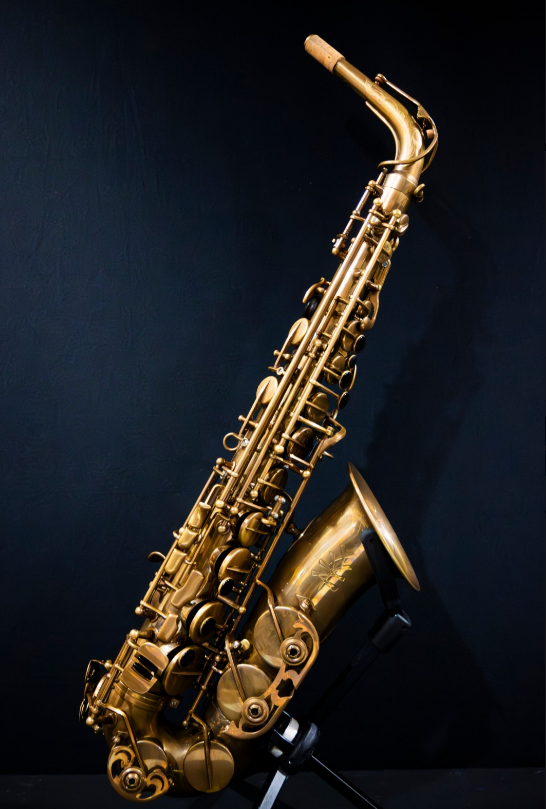 アルトサックスPro Vintage model