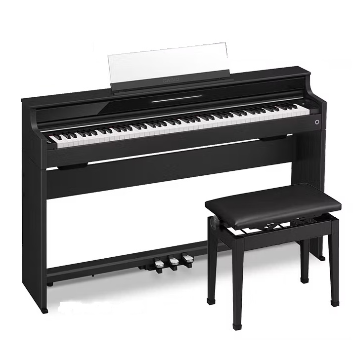 CASIO AP-S5000GP/S