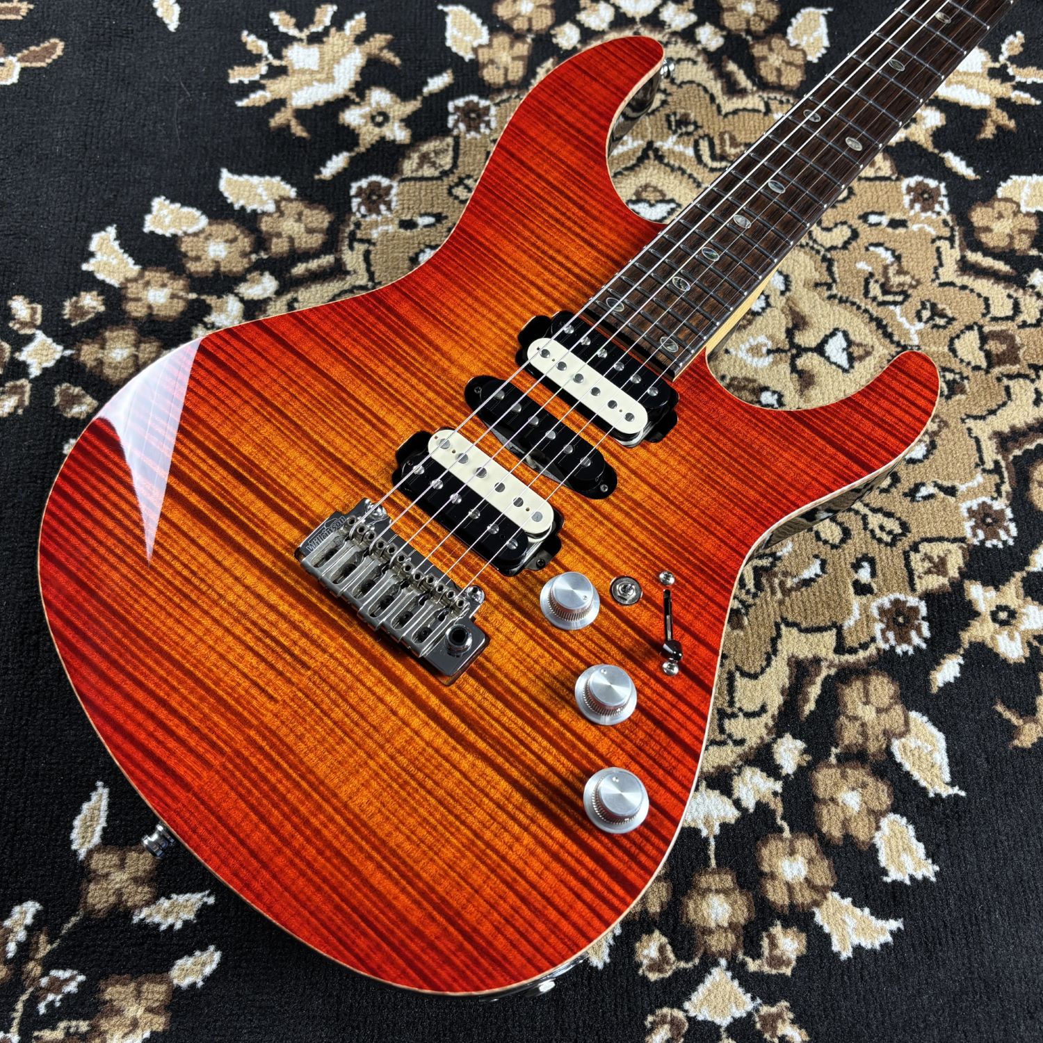 Freedom Custom Guitar Research【中古】 C.S Hydra 24F 